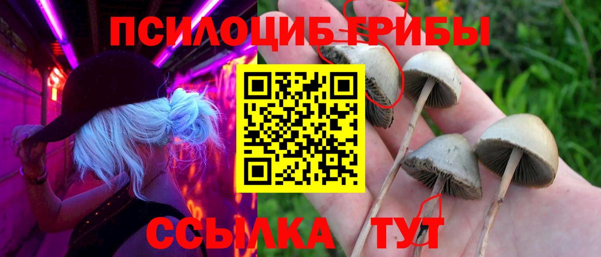 Галлюциногенные грибы мухоморы Зеленогорск