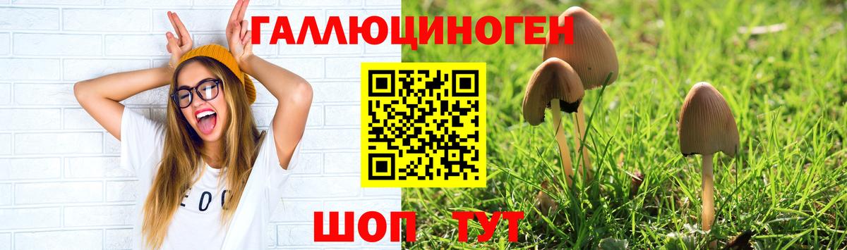 Галлюциногенные грибы GOLDEN TEACHER  Вход с VPN  Зеленогорск 