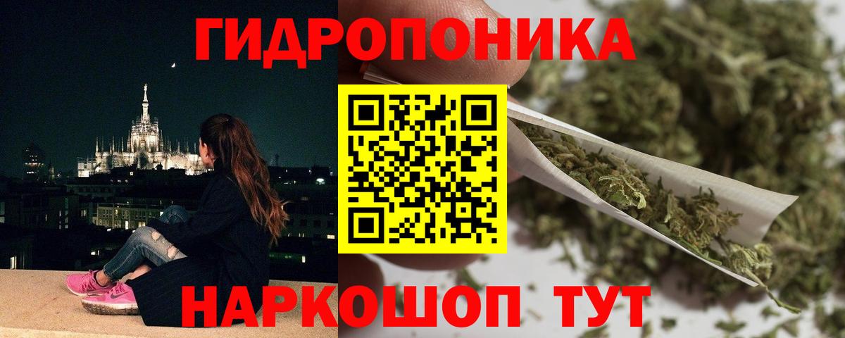 Конопля Ganja  Вход с VPN  Канабис планчик  Зеленогорск  Каннабис THC 21% 